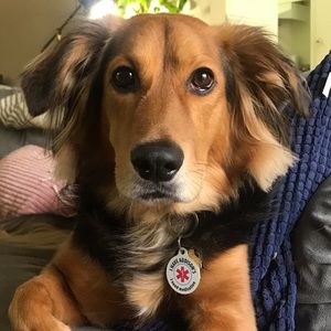 Meet your Posher, Isabel